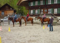 reiten-bern