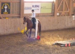 reiten-bern