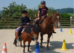 reiten-bern