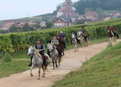 reiten-frankreich