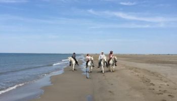 reiten-frankreich