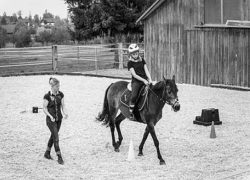 reittherapie-freiburg