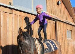 reittherapie-freiburg