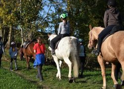 reiten-freiburg