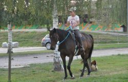 reiten freiburg