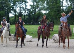 reiten freiburg