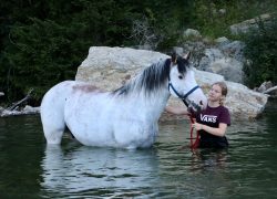 reiten-freiburg