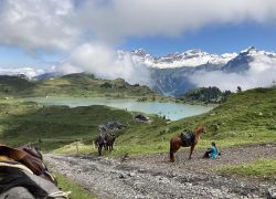 wanderreiten freiburg