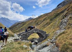 reitferien-graubünden