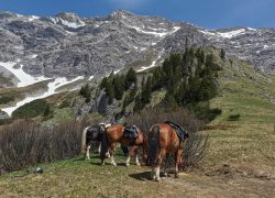 reiten-graubünden