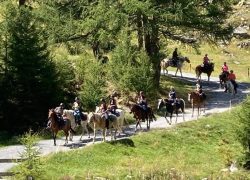 reiten-graubünden