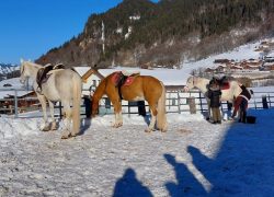 reiten-graubünden