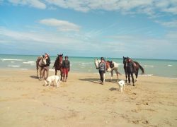 reiten-italien