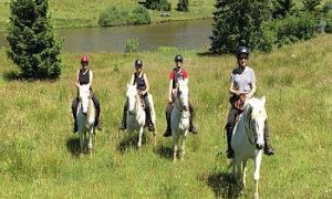 reiten-jura