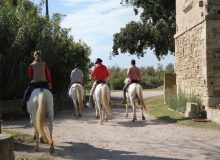 reiten-frankreich