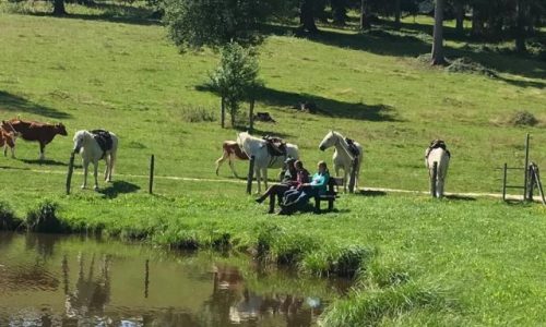 reiten-jura