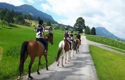 reiten-luzern