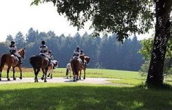 reiten-luzern