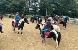 reiten-luzern