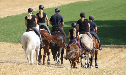 reiten-luzern