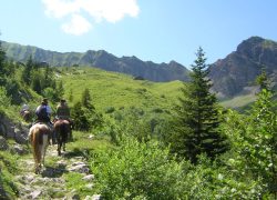 reiten-luzern