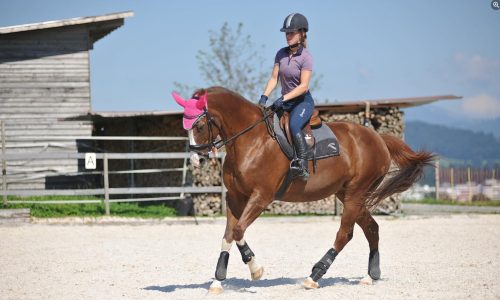 reiten-luzern