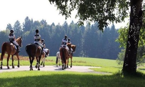 reiten-luzern