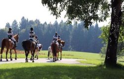 reiten-luzern