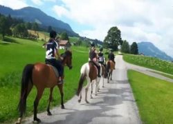 reiten-luzern