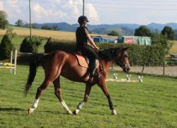 reiten-luzern