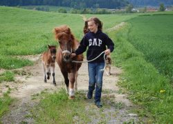 reiten-luzern