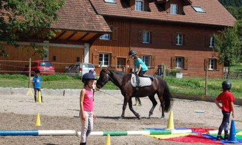 reiten-luzern