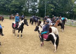 reiten-luzern