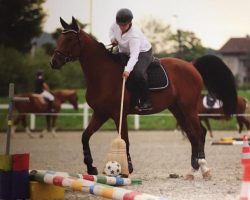 reiten-luzern