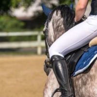 reiten-luzern