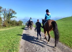 reiten-luzern