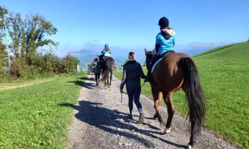 reiten-luzern