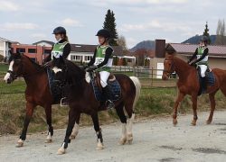 reiten-luzern