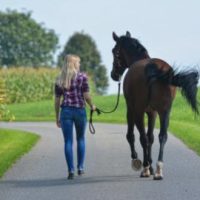 reiten-luzern