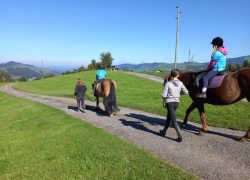 reiten-luzern