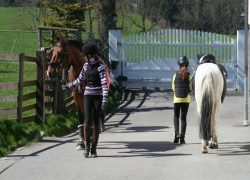 reiten-luzern