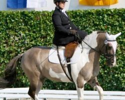 reiten-luzern