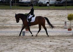 reiten-luzern