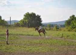 reiten-luzern