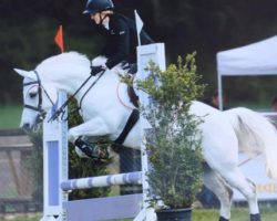 reiten-luzern