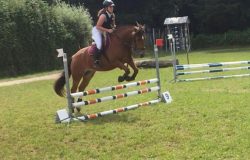 reiten-luzern