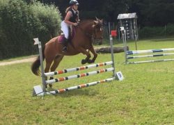 reiten-luzern