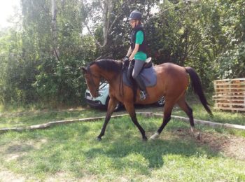 reiten-schaffhausen