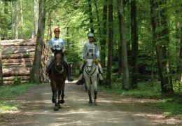 reiten-schaffhausen