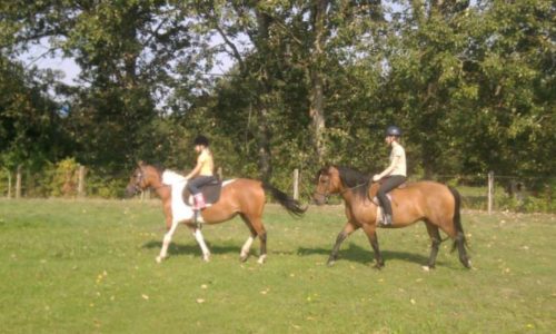 reiten-schaffhausen-long